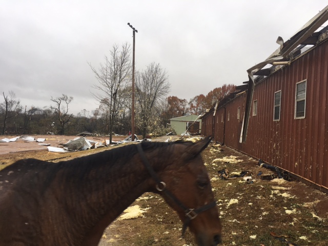 Flintridge Farm Stables in Maysville
