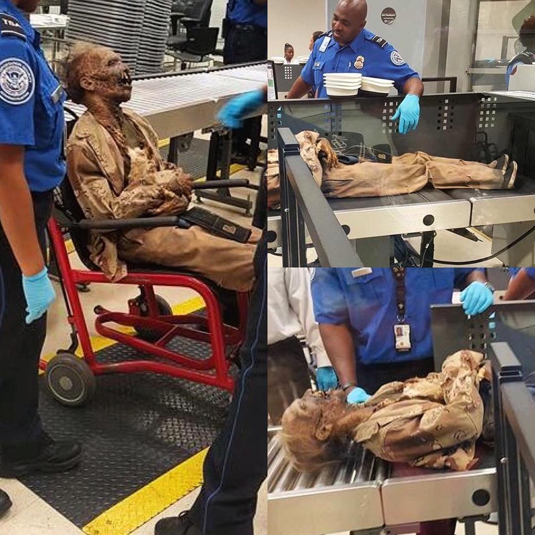 Most travelers are well versed in the dos and don'ts of what to take on a plane, but some clearly didn't get the memo. Here's a look at some of the most outrageous items which never made it past the TSA's X-ray machines this year.