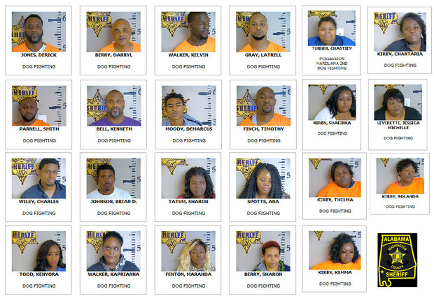 Twenty-three people were arrested in a Washington County dog fighting ring. (Washington County Sheriff's Office/AL.com)
