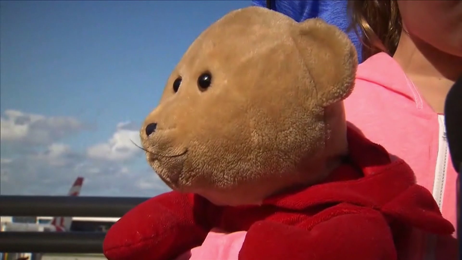 Rufus is back home with his beloved, after a harrowing ordeal.