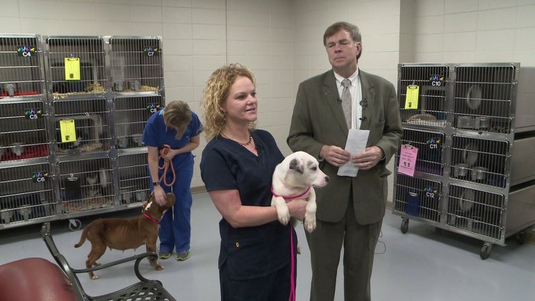 Dr. Karen Hill Sheppard and Huntsville Mayor Tommy Battle celebrate Huntsville Animal Services' 92% live release rate in 2016. (Photo: Shane Hays/WHNT News 19)