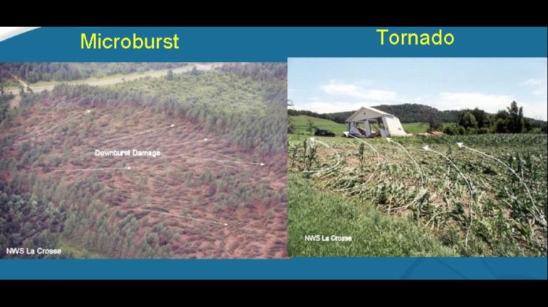 Wind damage caused by a downburst (left) and a tornado (right). Photo: NWS La Crosse