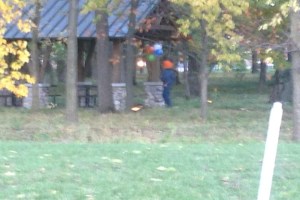 Fishers clown spotting 2