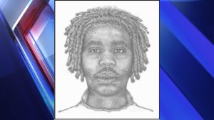 Suspect Sketch