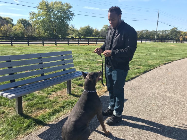 Indy’s first indoor dog park coming to Castleton this winter | Fox 59