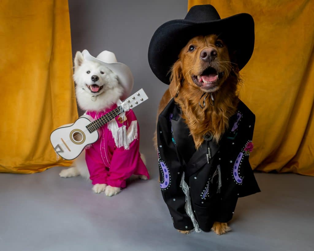 Costumes for two dogs best sale