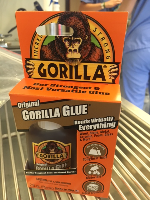 Gorilla glue