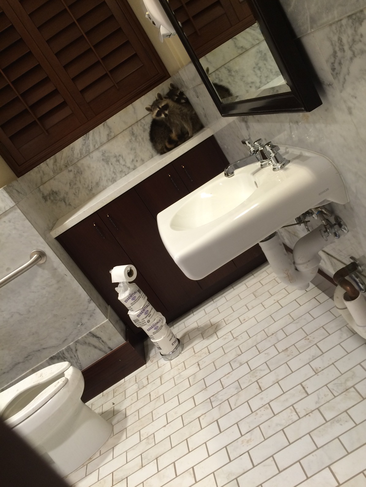 Raccoons in the State Capitol bathroom