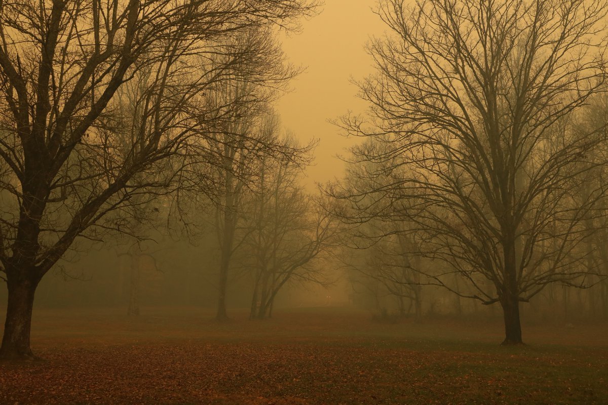 Fanned by strong winds and the Southeast's worst drought in nearly a decade, at least 14 fires burned in and around Gatlinburg, Tennessee, forcing evacuations from the popular tourist gateway and nearby communities. On Monday afternoon, a wildfire from the Great Smoky Mountains National Park spread rapidly into communities around it. By early Tuesday, emergency officials said about 100 homes were affected by the blaze.