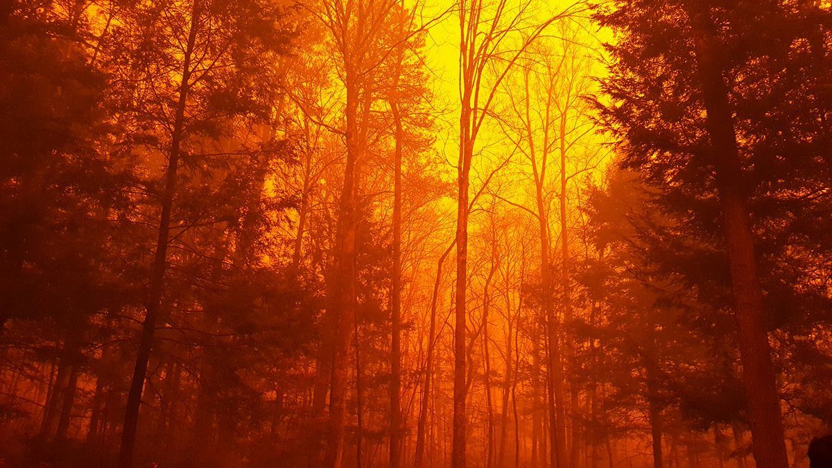 Fanned by strong winds and the Southeast's worst drought in nearly a decade, at least 14 fires burned in and around Gatlinburg, Tennessee, forcing evacuations from the popular tourist gateway and nearby communities. On Monday afternoon, a wildfire from the Great Smoky Mountains National Park spread rapidly into communities around it. By early Tuesday, emergency officials said about 100 homes were affected by the blaze.