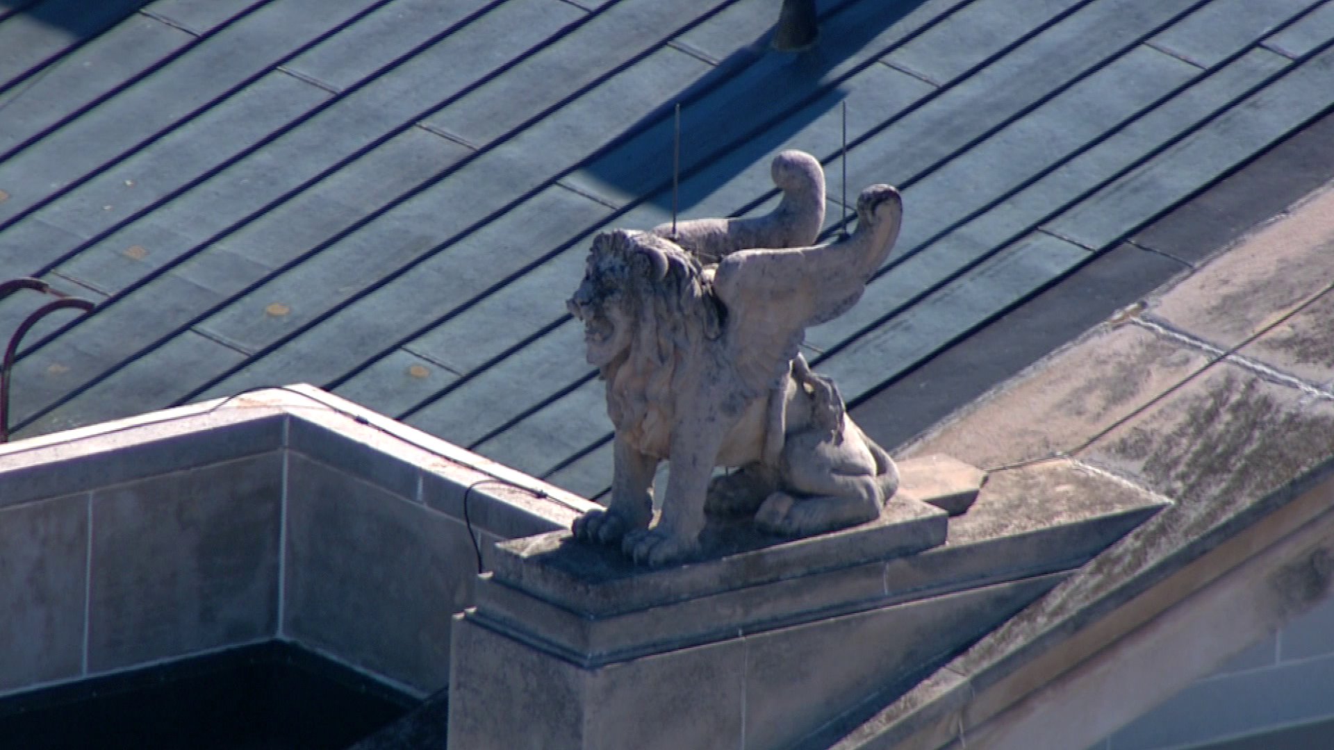 Capitol chimeras