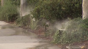 A file photo shows sprinkler spilling water on sidewalks. (Credit: KTLA)