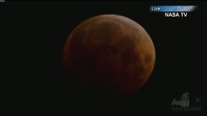 NASA cameras captured the lunar eclipse and blood moon on Oct. 8, 2014. (Credit: NASA TV)