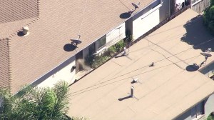 Sky 5 captured what appeared to be gunfire coming from a home in Lawndale on Wednesday, oct. 29, 2014. 