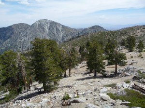 A view of Telegraph Peak, which is at the eastern edge of the San Gabriel Mountains National Monument. (Credit: Randy McEoin/flicker via Creative Commons)