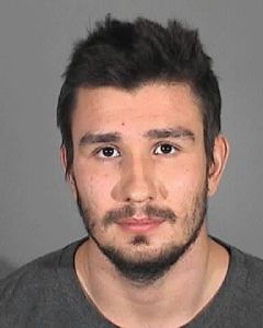 Viatcheslav Voynov is shown in a booking photo released by Redondo Beach Police Department on Oct. 20, 2014.