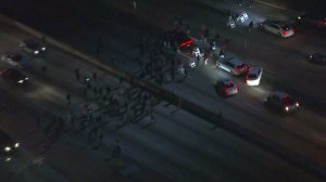 Ferguson protesters stopped traffic on the 101 Freeway in downtown Los Angeles on Nov. 25, 2014. (Credit: KTLA) 