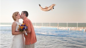 A dolphin photobombed a newly married couple as they kissed for the first time at their wedding. (Credit: Sarah and Ben McLachlan/Caters News Agency)