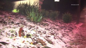 Hail is seen in San Dimas after heavy rainfall the morning of Nov 21, 2014. (Credit: OnScene)