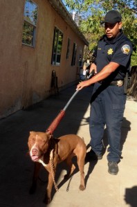 Poncho is shown with Officer Will Luna in a photo provided by the Riverside County Department of Animal Services.