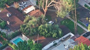 A tree fell on top of a house in Winnetka on Thursday, Nov. 13, 2014. (Credit: KTLA)