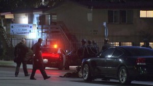 LAPD officers and a  K-9 dog are seen outside a Valley Glen apartment where a gunman was believed to be barricaded on Monday, Nov. 3, 2014. (Credit: KTLA)