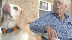 Buddy the Beagle jumped on a Texas ambulance transporting his owner John Rector Nickleson to the hospital in October. (Credit: KLST)