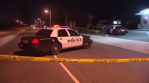 Police shot and killed a man after he allegedly opened fire on them and wounded a K-9 on Sunday, Nov. 23, 2014. (Credit: KTLA)