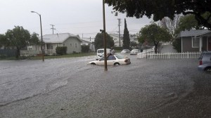 The area of Andreo Avenue and 220th Street was flooded Dec. 16, 2014, amid a rainstorm. (Credit: TheStoryOfAKat/Twitter)