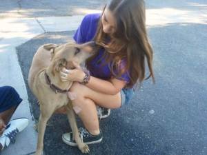Shira Rich helps an animal through the nonprofit she and her mother run. (Photo via Riverside County Animal Services)