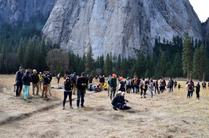 Crowds watch and wait anxiously in El Capitan Meadow on Jan. 10, 2015. (Credit: Tome Evans / elcapreport.com)