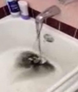 A still from video taken by Gardena resident Cynthia Monreal shows black water pouring into her tub. 