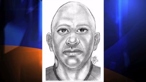 Authorities released a composite sketch of a man suspected of kidnapping and sexually assaulting a 15-year-old girl in the San Gabriel Valley on Friday, Jan. 2, 2015. (Credit: Los Angeles County Sheriff's Department)