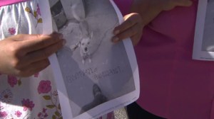 Emily Thompson holds a sign asking for help finding her missing dog Sandy, on Jan. 15, 2015. (Credit: KTLA)