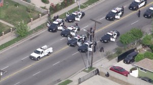 LAPD officers surround the driver of a truck in Arleta following a pursuit on Feb. 11, 2015. (Credit: KTLA)