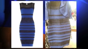 Some say the dress on the right looks gold and white online, but a photo of the dress on Amazon.com shows it is in fact blue and black. 