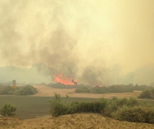 Winds picked up and pushed the fire in a new direction, authorities said. (Credit: Apple Valley Fire Protection District)