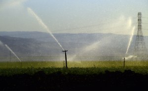 Fields of carrots are watered in Kern County March 29, 2015, when the snowpack in the Sierra Nevada mountain range hit an unprecedented low. California's drought, in its fourth year, is going from bad to worse, with water levels expected to be the lowest on record. (Credit: FREDERIC J. BROWN/AFP/Getty Images)