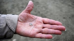 Susie Clark found a 3.69-carat white diamond at Arkansas's Crater of Diamonds State Park. (Credit: Arkansas State Parks via CNN Wire)
