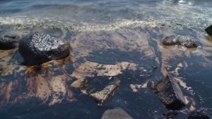 Oil darkens ocean waters off Refugio State Beach on May 20, 2015. (Credit: KTLA)