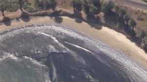 The slick was washing onto the sand at Refugio State Beach on May 19, 2015. (Credit: KTLA)