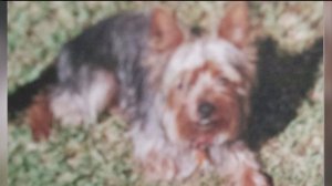 A picture of "Scotty" was provided by family members. 