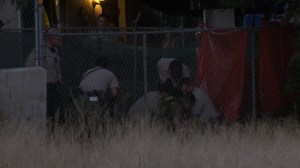 Deputies deployed a police dog before taking a man into custody in the backyard of a Lake Elsinore home on Thursday, June 4, 2015. (Credit: Joe Fanaselle)