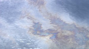 An oil slick was reported off Goleta on July 29, 2015. (Credit: KTLA)