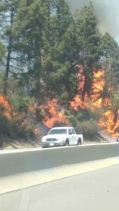 A KTLA viewer captured this image of trees burning before the blaze spread to a Glassell Park church on July 7, 2015. (Credit: John Bandek)