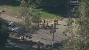 Pasadena firefighters responded after a tree fell and injured three people at Kidspace on July 28, 2015. (Credit: KTLA)