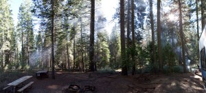 Crane Flat Campground is shown in a photo posted to Flickr in October 2010. (Credit: Daniel Alexander-Head/Flickr via Creative Commons)