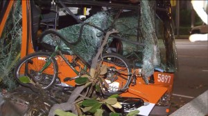 A bus crashed into a tree before hitting a power pole in Westwood, leaving 13 people hurt on Aug. 22, 2015. (Credit: KTLA)