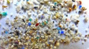 A new study said tiny, plastic beads that are found in body scrubs, cosmetics, and soaps were polluting the environment. (Credit: Oregon State University)