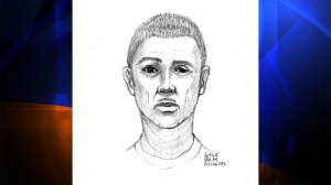 Police released a composite sketch of a man wanted in connection with the sexual assault of a child in Riverside on Sunday, Sept. 6, 2015. (Credit: Riverside Police Department)